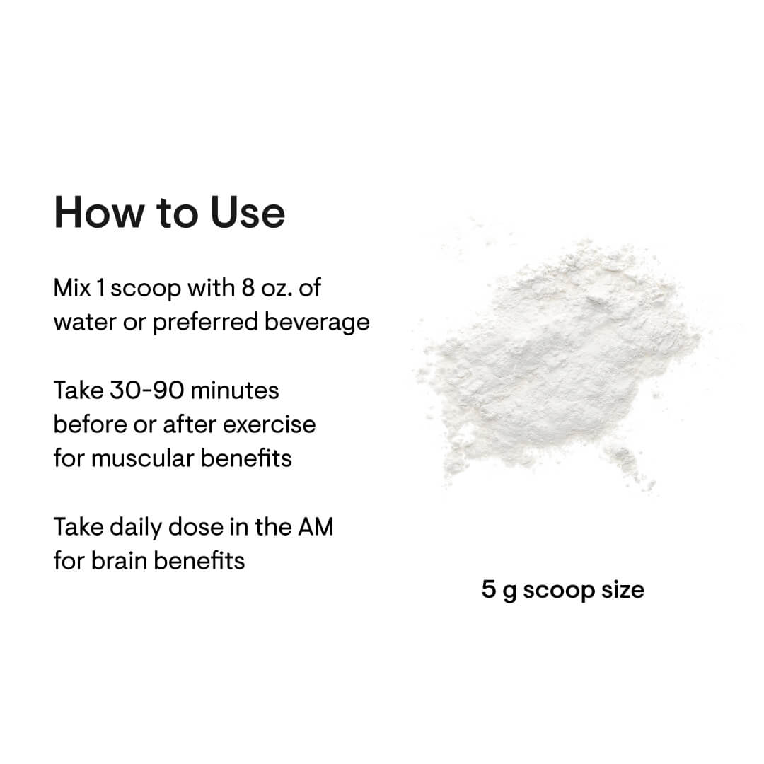 Thorne Creatine Powder 16oz for Sale Chicago IL